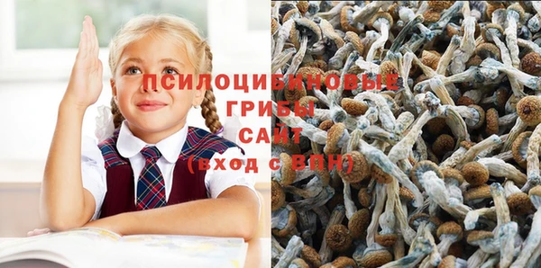 PSILOCYBIN Богородицк