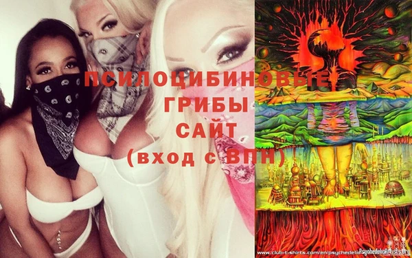 PSILOCYBIN Богородицк