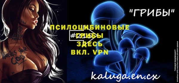 2c-b Богородск