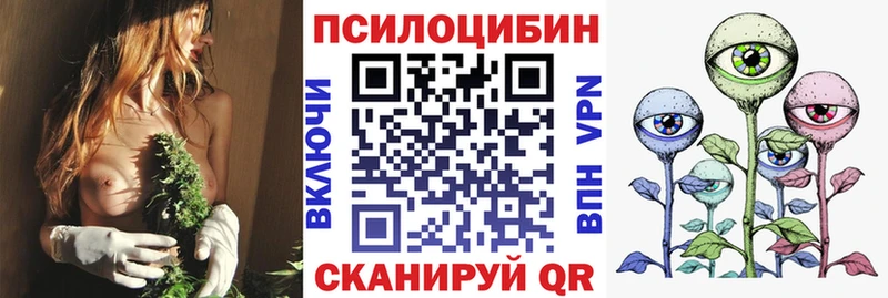Псилоцибиновые грибы прущие грибы  где купить наркоту  Новосиль 