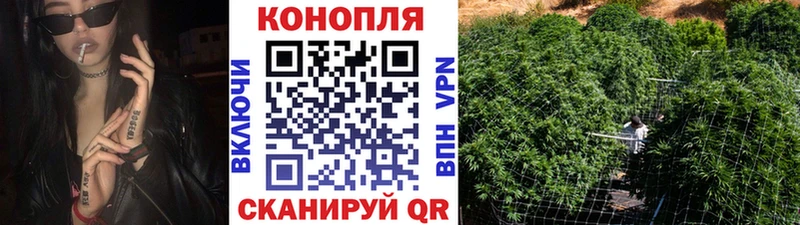 Марихуана сатива где можно купить наркотик Новосиль